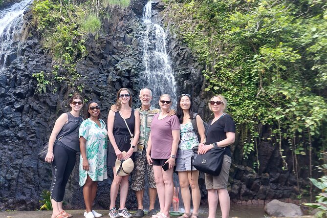 Tahiti Half Day Coastal Private Tour - Vaipahi Water Gardens: plants, paths, and a waterfall
