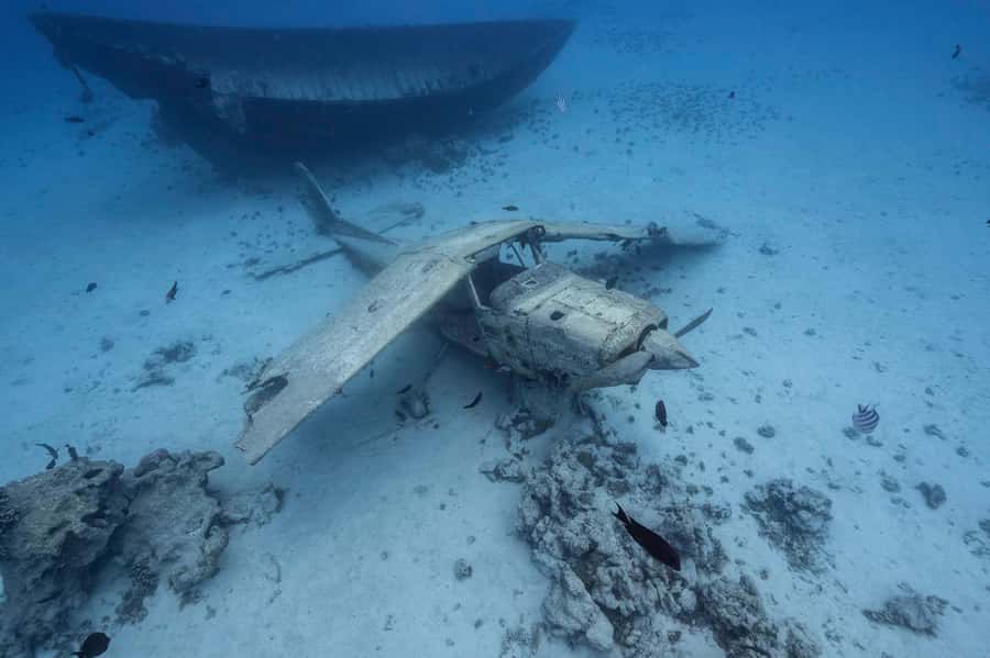 Tahiti island: 4 hours Snorkeling Tour - Dolphins first, then Tahiti’s clear lagoon