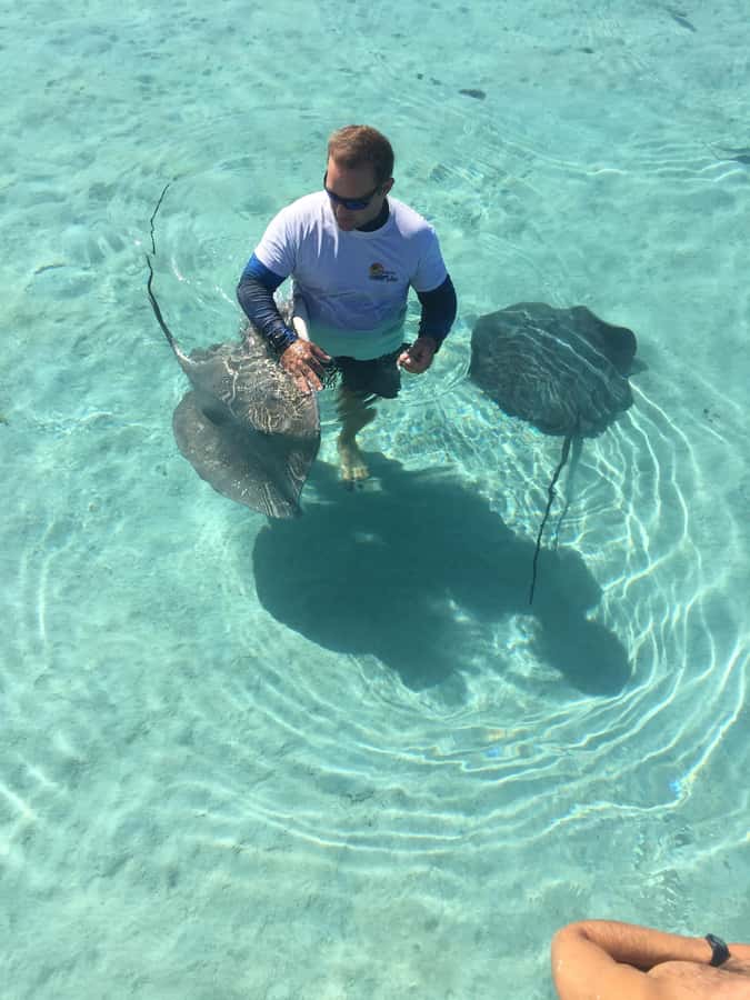 Tahiti island: 4 hours Snorkeling Tour - Freshwater springs and the turtle area