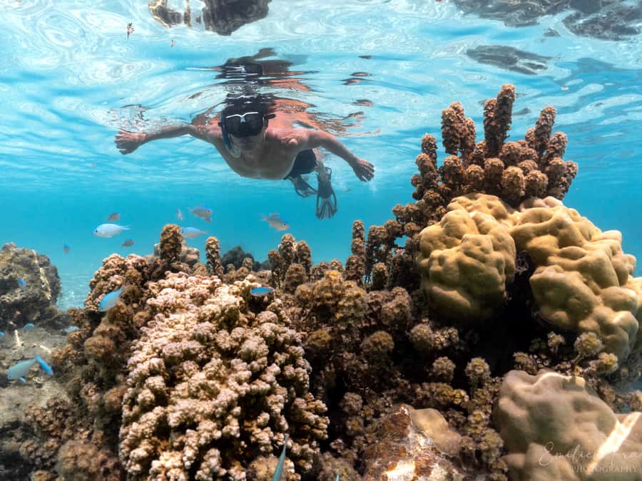 Tahiti island: 4 hours Snorkeling Tour - Who will enjoy this Tahiti snorkeling tour most
