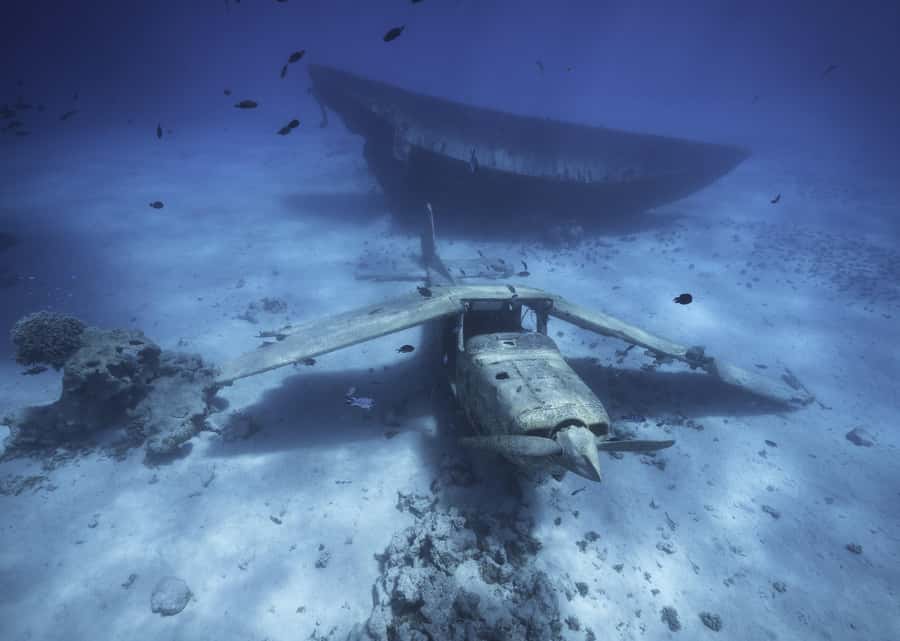 Tahiti island: 5 hours Snorkeling Picnic - What the $227 price includes