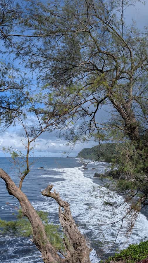 Tahiti: Northeast Coast Waterfalls&Viewpoints Half Day Tour - Point Venus and the 1769 transit of Venus
