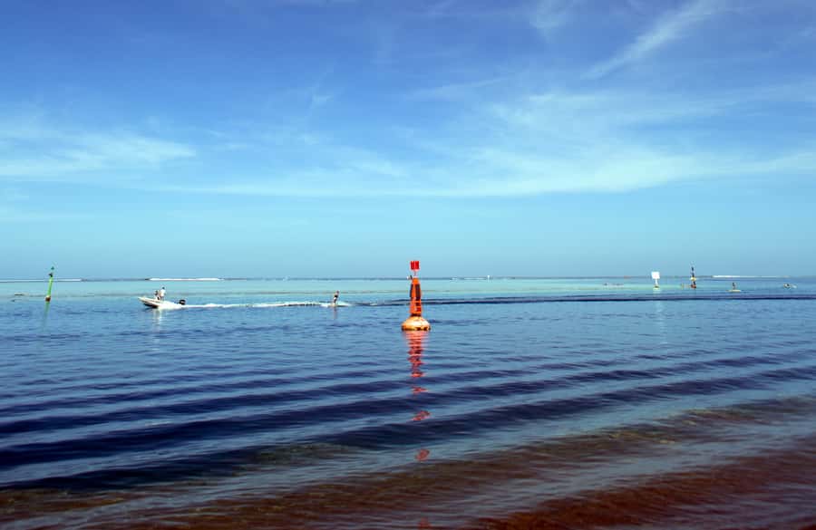 Tahiti: Private Half Day Culture and Nature Highlights Tour - Key points to know before booking