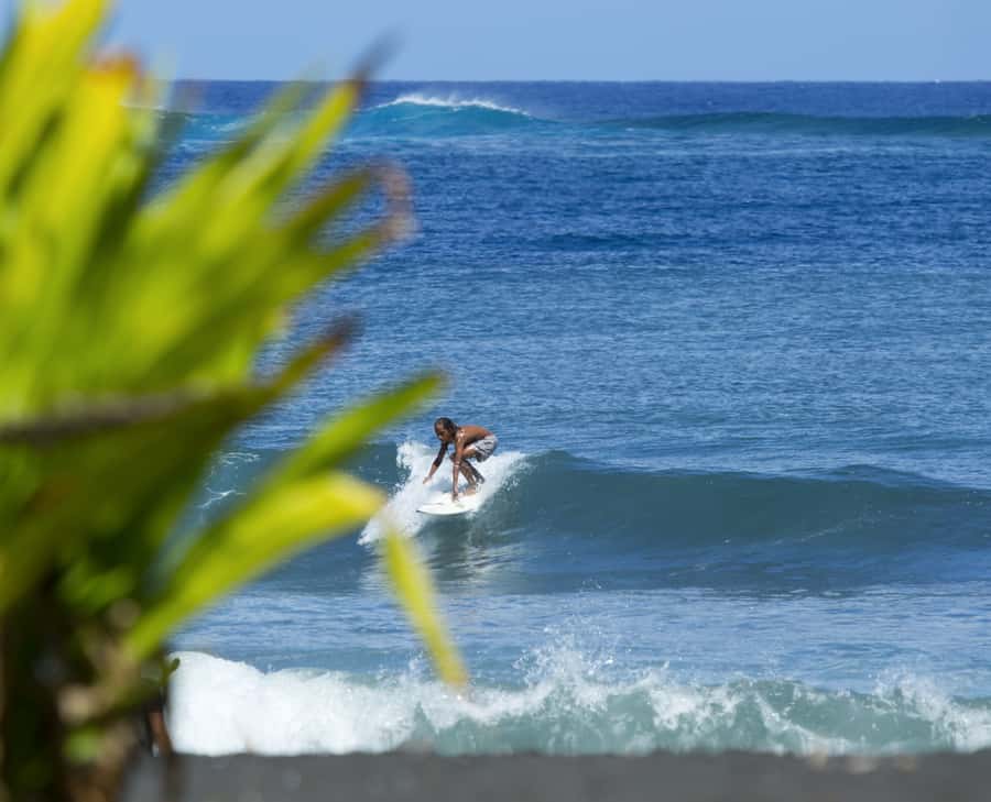 Tahiti: Private Half Day Culture and Nature Highlights Tour - Why this five-hour Tahiti tour works well