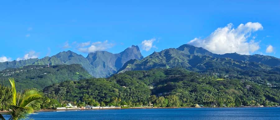 Tahiti Private Half Day Tour. Nature, history and culture - Why this five-hour Tahiti tour works well