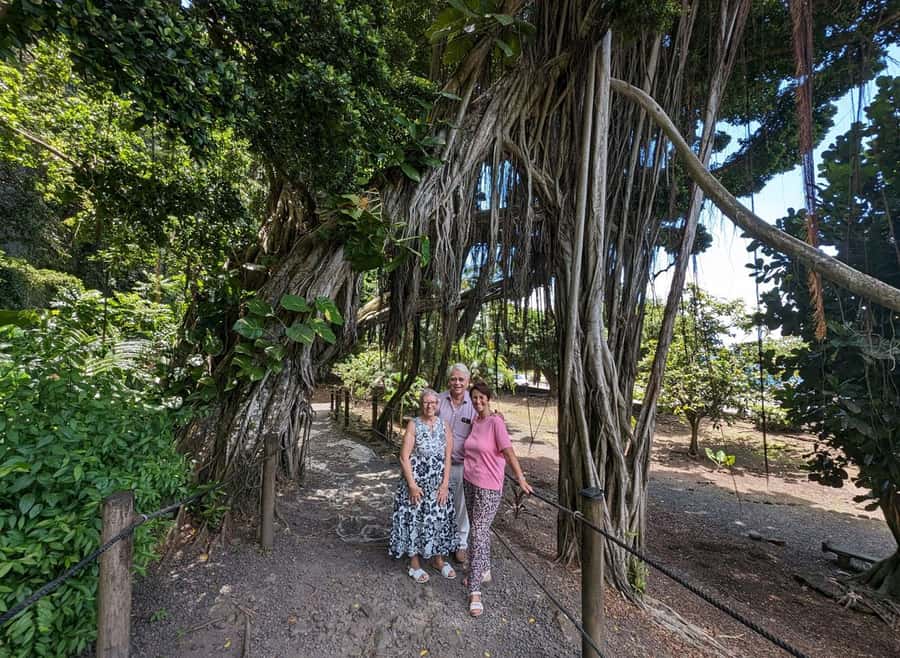 Tahiti Private Half Day Tour. Nature, history and culture - Point Venus and Matavai Bay, an optional historical layer