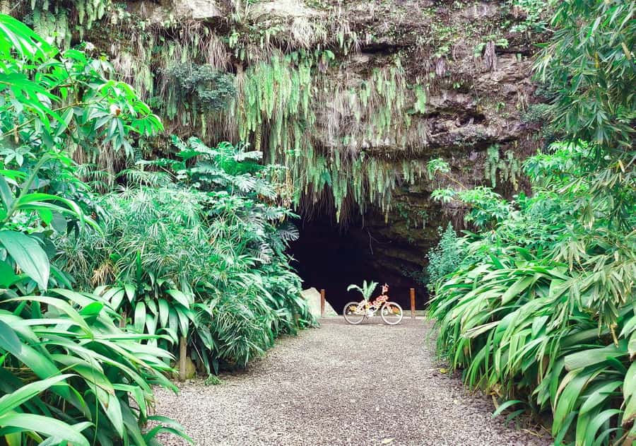 Tahiti Private Half Day Tour. Nature, history and culture - What Max and Natalia add to the experience