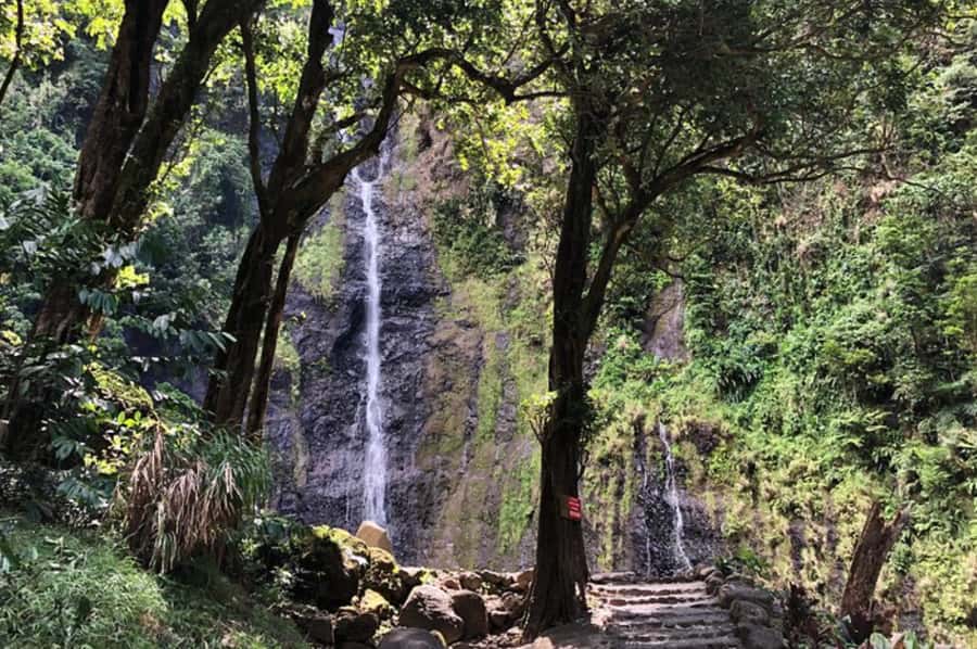 Tahiti : Tour de l’île (Full Day) avec taxi boat (Teahupoo) - Vaipahi Water Garden and the three waterfalls