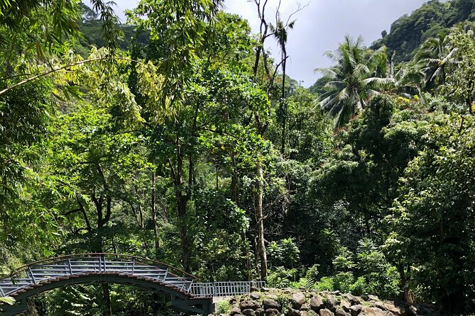 Tahiti: Tour of the East or West Coast (Half Day) - Belvedere du Tahara’a for the big view