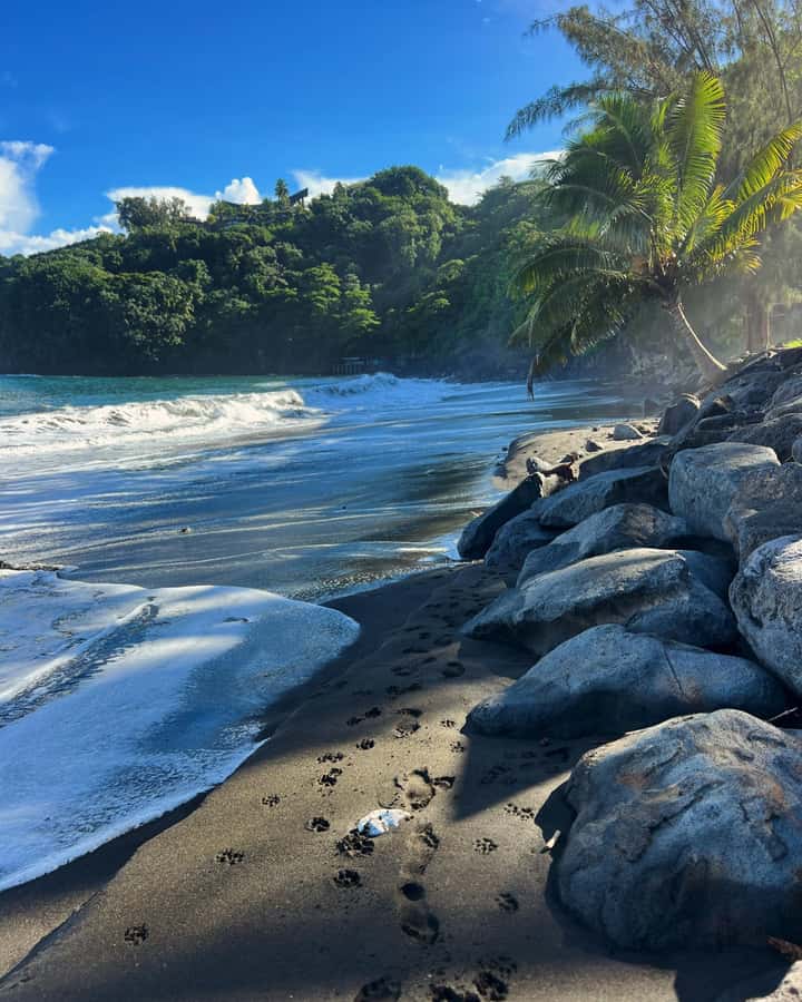 Tahiti: Unique East Coast Half Day Tour with Local Guide - Key points at a glance