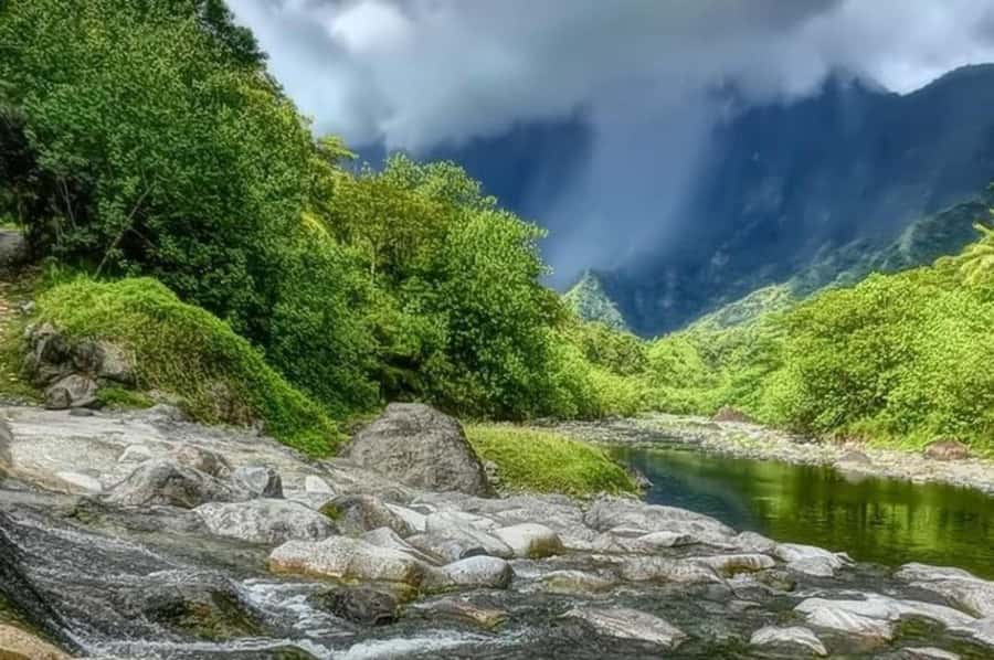 Tahiti: Unique East Coast Half Day Tour with Local Guide - Tahara’a Viewpoint and the Papeete panorama