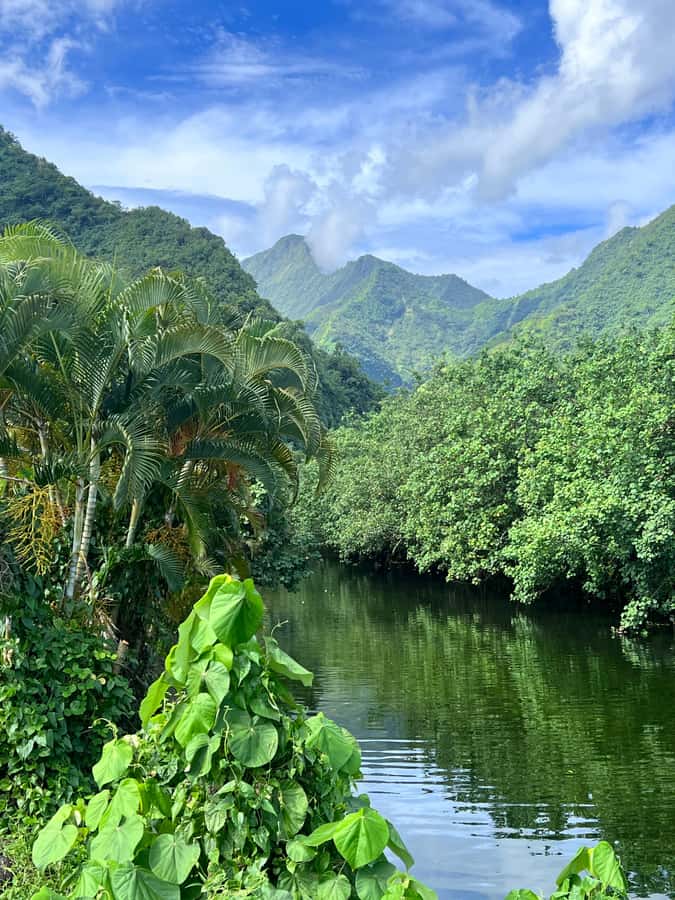 Tahiti: Unique Full Day West Coast, Combo Tour to Teahupoo - Arahurahu Marae and Polynesian traditions