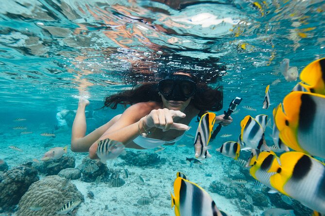 The Vanilla tour of Taha'a in a comfortable outrigger canoe - Swimming through the Coral Garden