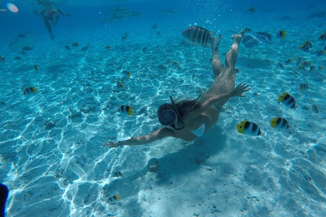 Toa Boat Bora Bora Private Lagoon tour On Ambassador Boat - What is included for the four-hour outing