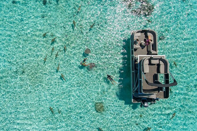 Toa Boat Bora Bora Private Lagoon tour On Ambassador Boat - Is $650 per person a fair price?