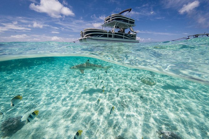 Toa Boat Bora Bora Private Lagoon tour On Ambassador Boat - The slide changes the mood