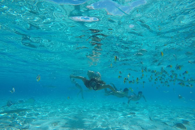 Toa Boat Bora Bora Private Lagoon tour with Lunch on Entertainer Bar Boat - Guides who shape the day