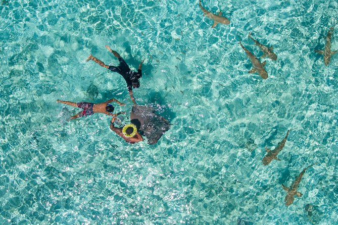 Toa Boat Bora Bora Private Lagoon tour with Lunch On Majestic Pontoon Boat - What the six-hour schedule feels like