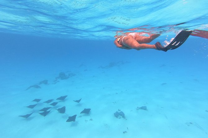 Tohora Bora Bora Snorkeling Lagoon Tours - How weather affects your day