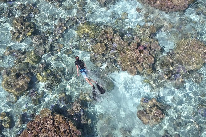 Tohora Bora Bora Snorkeling Lagoon Tours - Small details that improve the experience