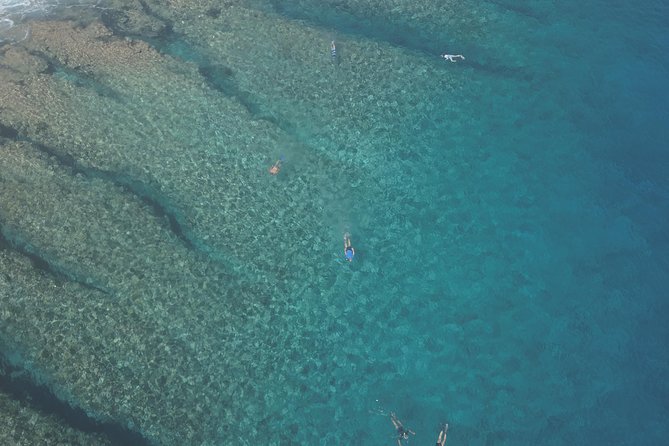 Tohora Bora Bora Snorkeling Lagoon Tours - Should you book Tohora Bora Bora?