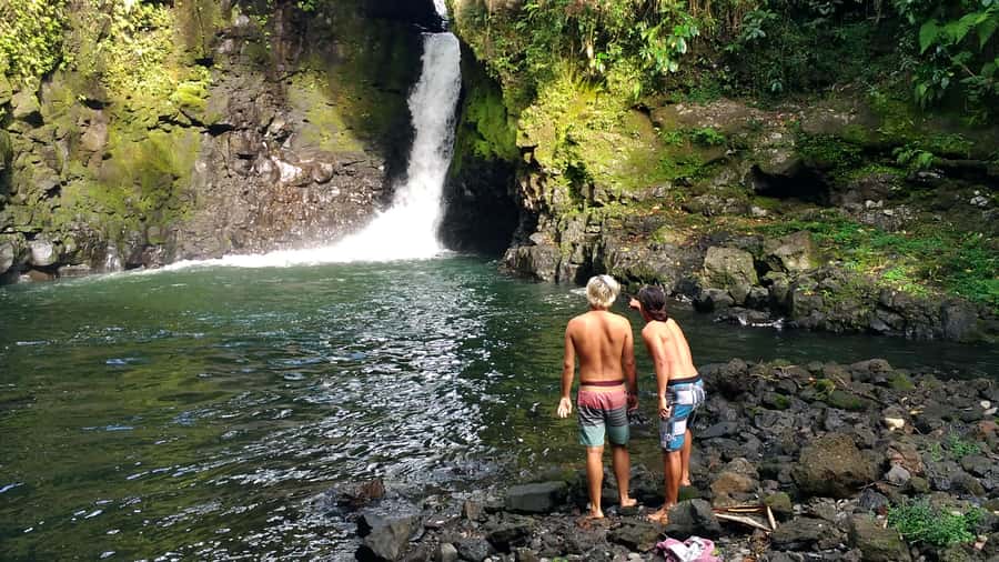 Tour of Primeval Crystal Waters of Samoa - O le Pupu-Pue National Park and the 110-meter falls
