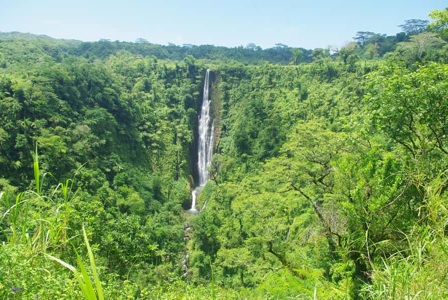 Tour of Primeval Crystal Waters of Samoa - What the $163 price includes