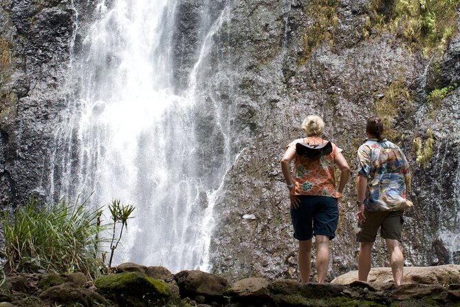 Tour Tahiti in Private - Vaipahi Water Gardens in 35 minutes