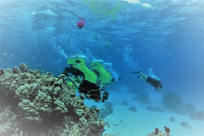 Underwater Scooter - Timing, group size, and practical planning