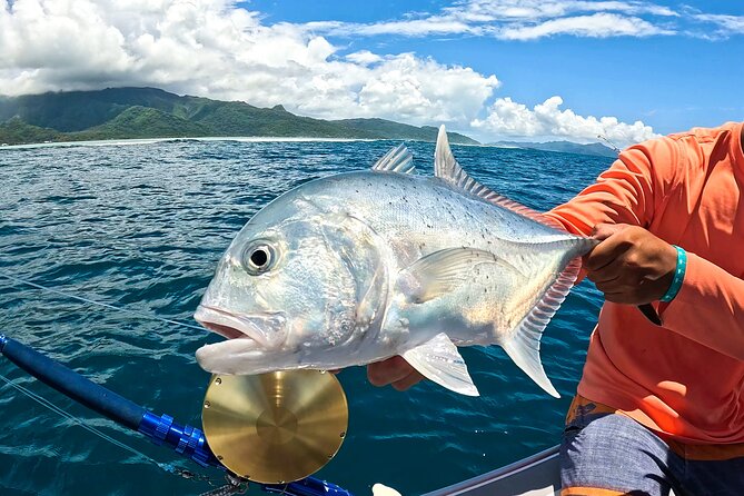 Unique in Raiatea: discover the lagoon, fish, cook, enjoy! - Leaving Raiatea for the Raiatea and Tahaa lagoon