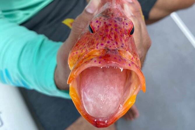 Unique in Raiatea: discover the lagoon, fish, cook, enjoy! - Jardin de Corail and Domaine Pari Pari