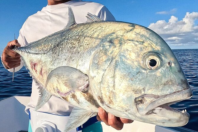 Unique in Raiatea: discover the lagoon, fish, cook, enjoy! - What the $340 price means