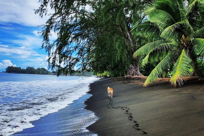 Unique Tahiti Tour - personalised, small group east coast tour - Pointe Venus and the black sand of Matavai Bay