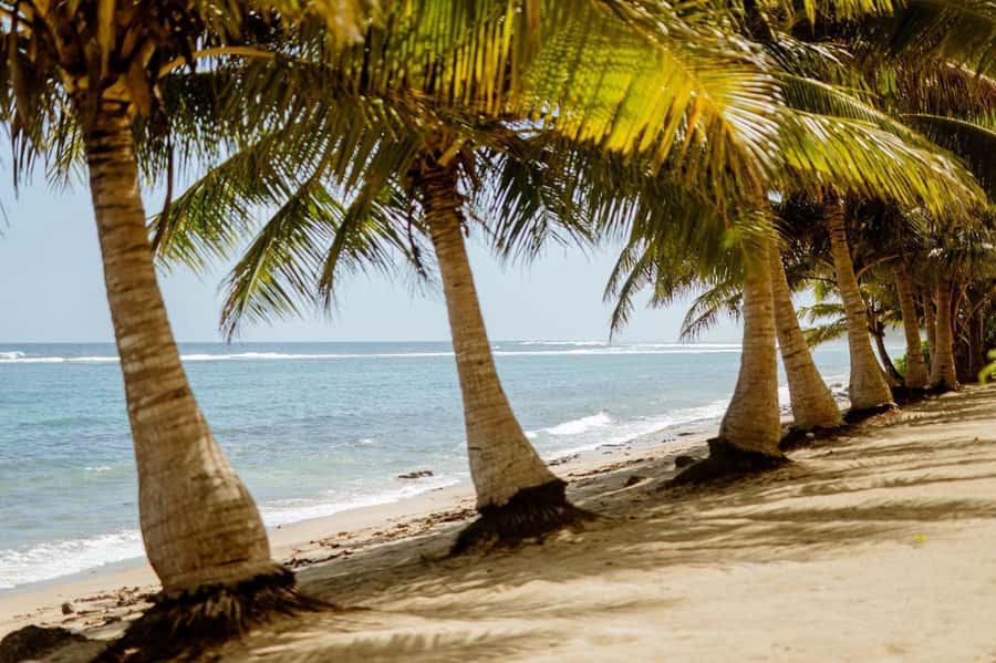 Upolu: Private Tour - Beach, Waterfall & Ocean Trench - Key points at a glance
