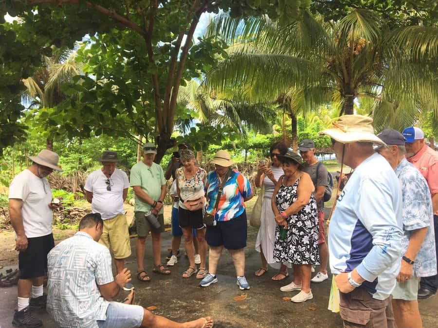 Upolu: Private Tour - Beach, Waterfall & Ocean Trench - Lalomanu Beach is the day’s easygoing pause
