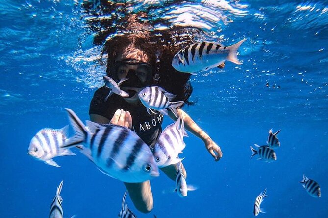 Want to escape? Treat yourself to a snorkeling session in Tahiti! - What makes this Tahiti boat trip worth considering