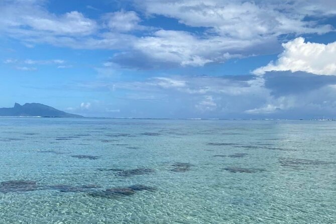 Want to escape? Treat yourself to a snorkeling session in Tahiti! - Setting out from Tahiti’s west coast at 8 a.m.