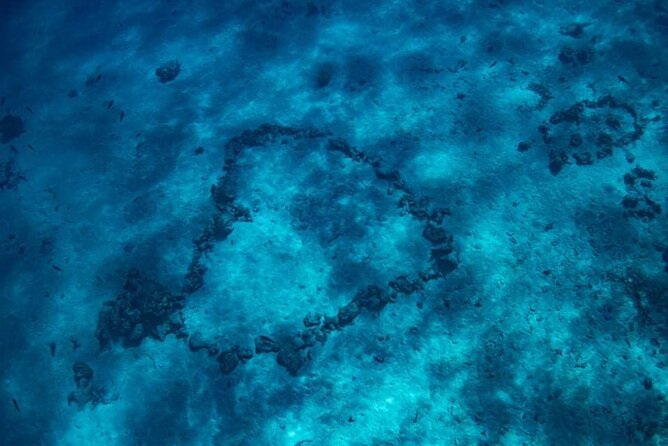 Want to escape? Treat yourself to a snorkeling session in Tahiti! - Captain Naea and the feel of a private trip