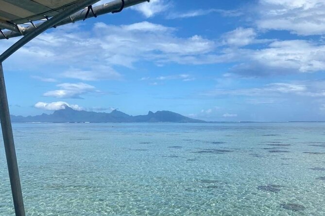 Want to escape? Treat yourself to a snorkeling session in Tahiti! - What to bring, and what not to expect