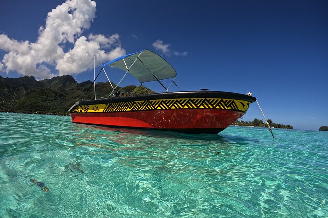 Watch and Swim with Humpback Whales in Moorea - What is included, and what you still need