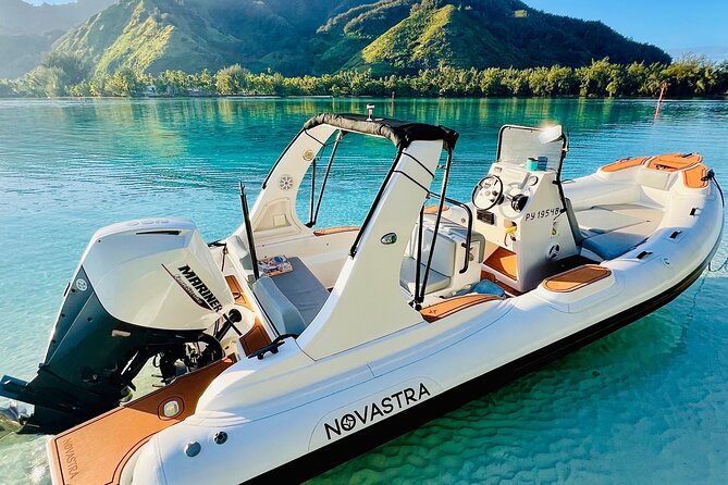 Watch and Swim with Humpback Whales in Moorea - What makes the experience memorable