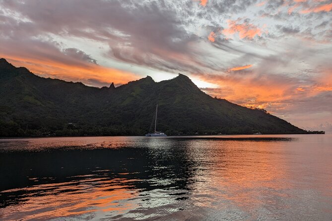 Whale watching 6 people half day - Who will enjoy this Moorea whale trip most