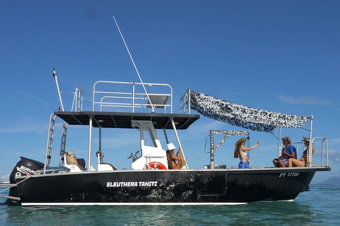 Whale Watching Activity - Setting out from Marina Taina