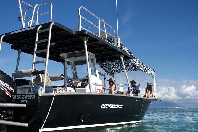 Whale Watching Activity - What happens before you enter the water