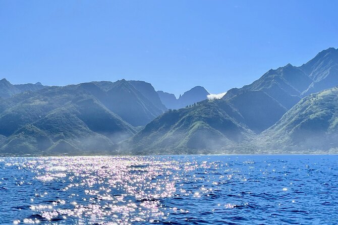 Whale watching DE Humpback West Coast of Tahiti - Who should book this outing