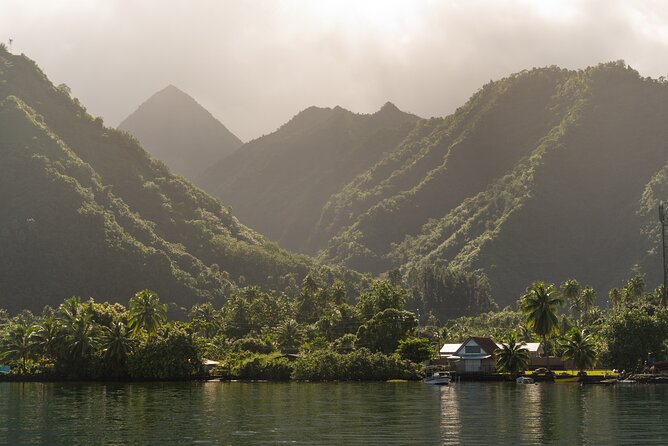 Whale watching DE Tahiti Peninsula - Should you book this experience?