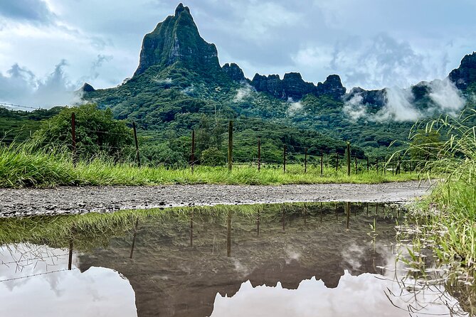 Whale watching in Moorea - Weather, cancellations, and practical planning