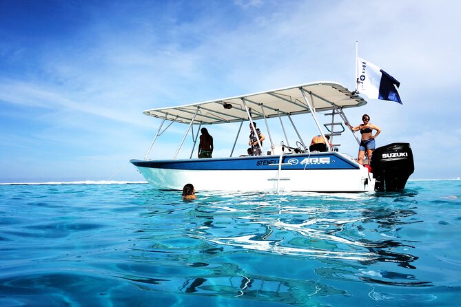 Whale watching on the preserved and quiet coast of Paea (Pk26) - Weather, comfort, and what to pack