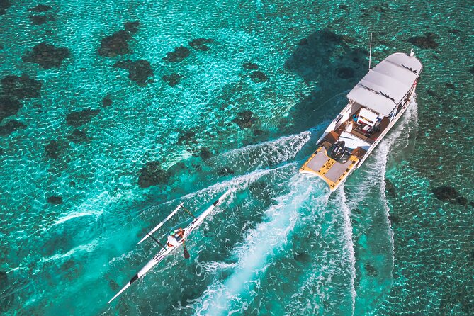Whale Watching Shared Half Day - Guides who keep the encounter personal