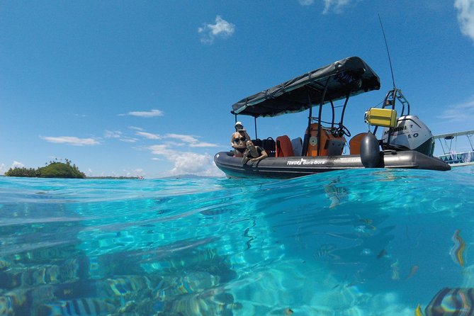 Whale Watching Tours in Bora Bora - The mixed experience you should be ready for